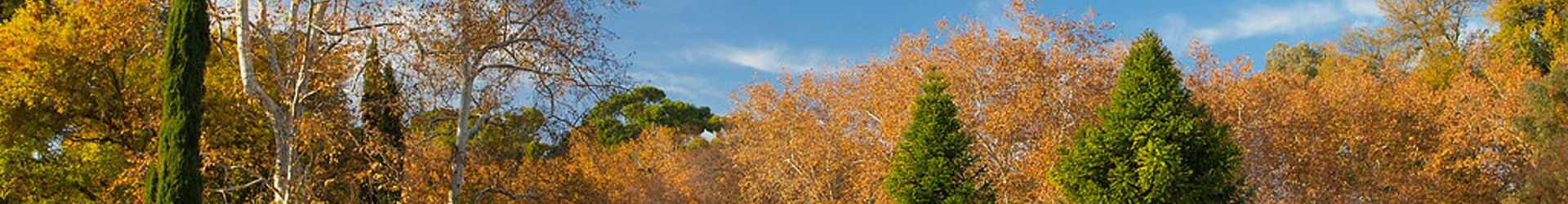 Land Park Banner